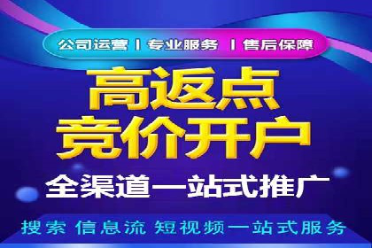 百度搜索引擎优化推广案例解析